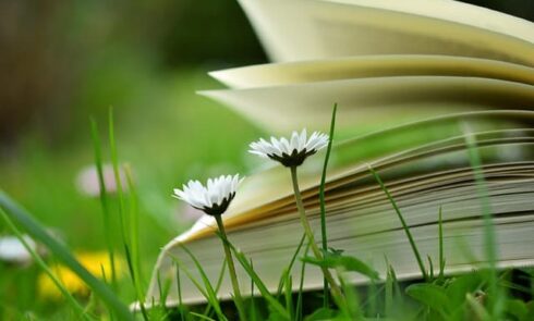 book