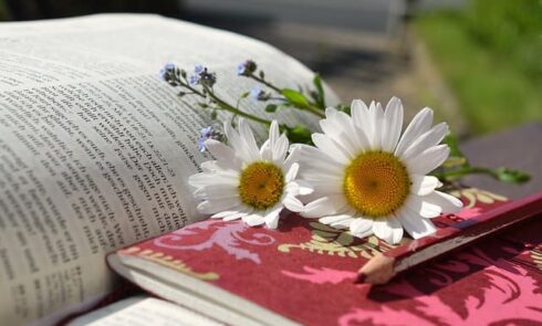 book